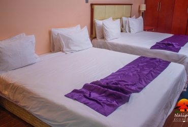 Nalipiri ECO RESORT (169 of 22)